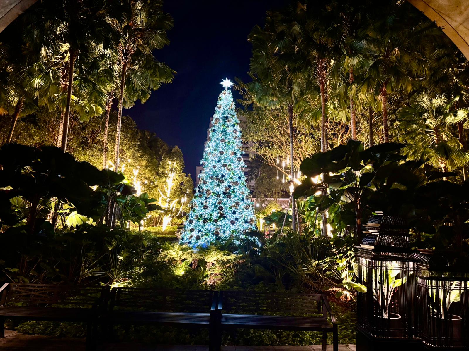 Outdoor festive Christmas tree garden installation